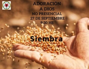 semillas en la mano
