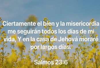 Salmo 23:6