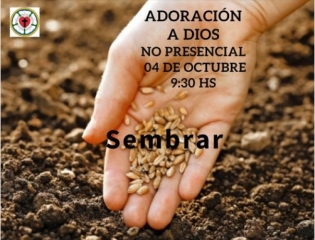 Sembrar - mano con semillas